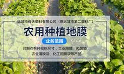 lol菠菜网哪个靠谱：专业菠菜导航官网 (2)